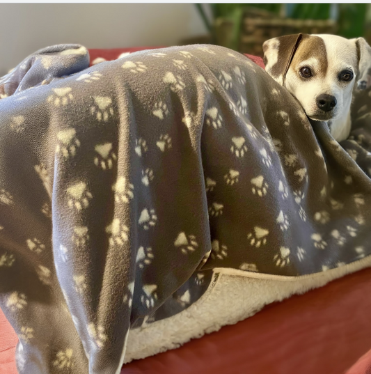 Grey Paws Fleece Print Blanket