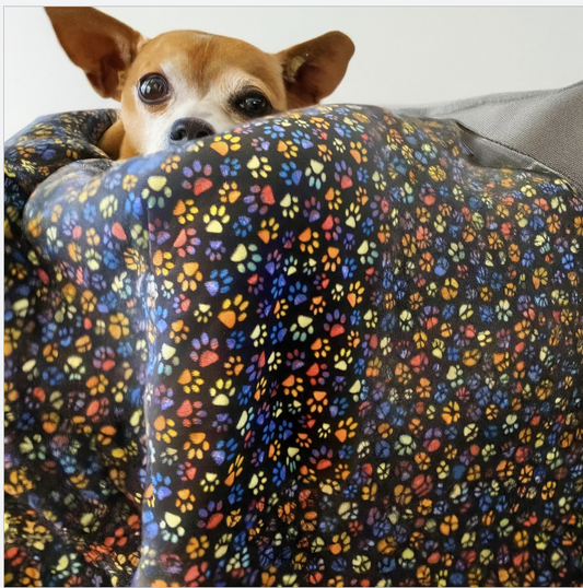 Rainbow Paws Fleece Print Blanket
