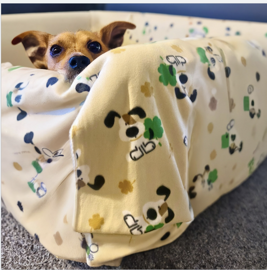 St Patty's Fleece Print Blanket