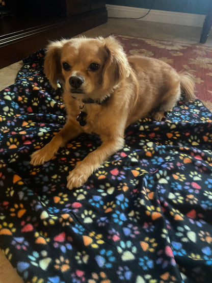 48" x 30" Coral Thermal Fleece Pet Blanket Rainbow Paw Print